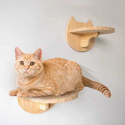 Cat Wall Climbing Shelf and Scratching Post with Hiding House - Multi-Level Pet Furniture Accessories