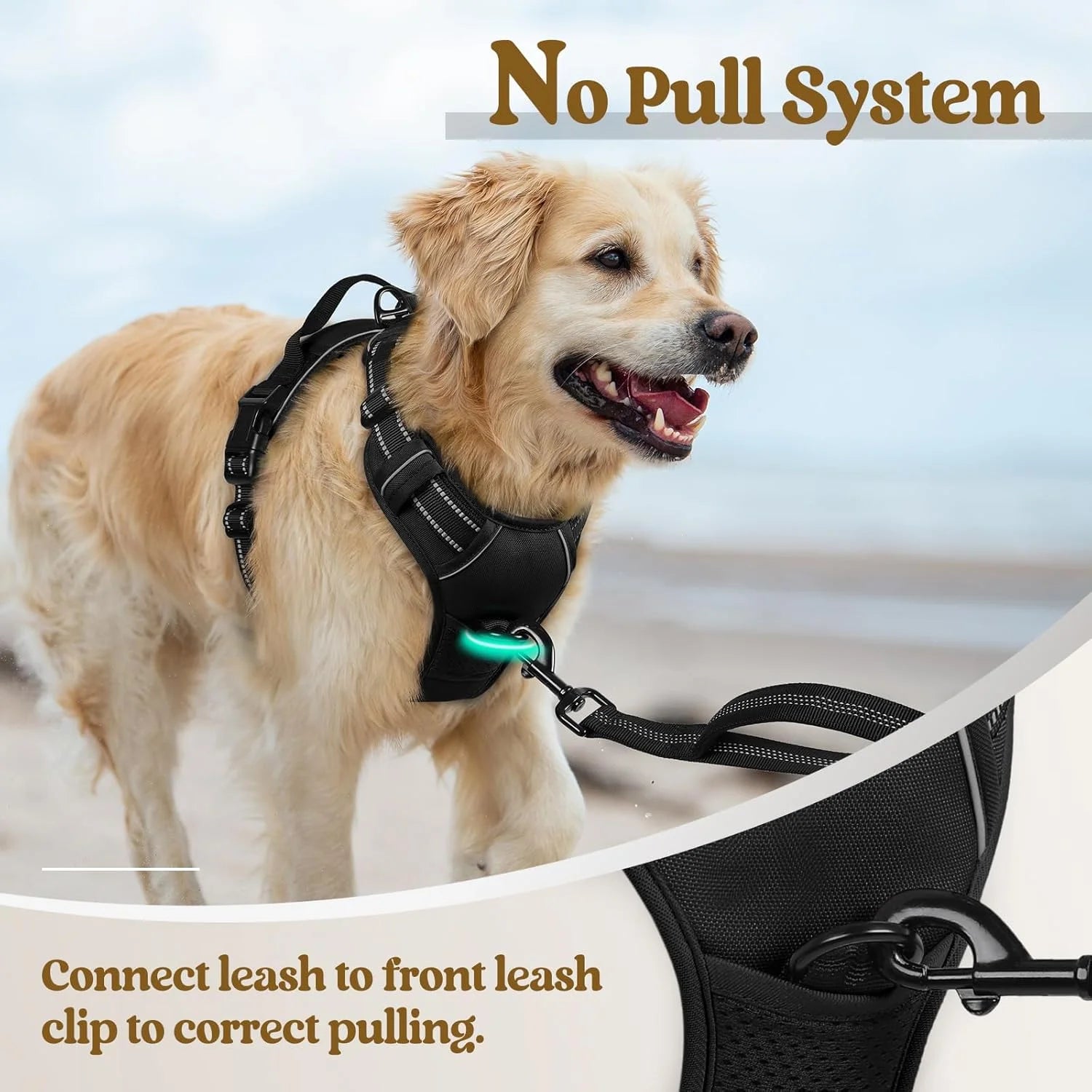 No-Pull Dog Harness with Dual Leash Clips, Adjustable Soft Padded Vest, Reflective Oxford Outdoor Vest with Control Handle for Large Dogs - Black