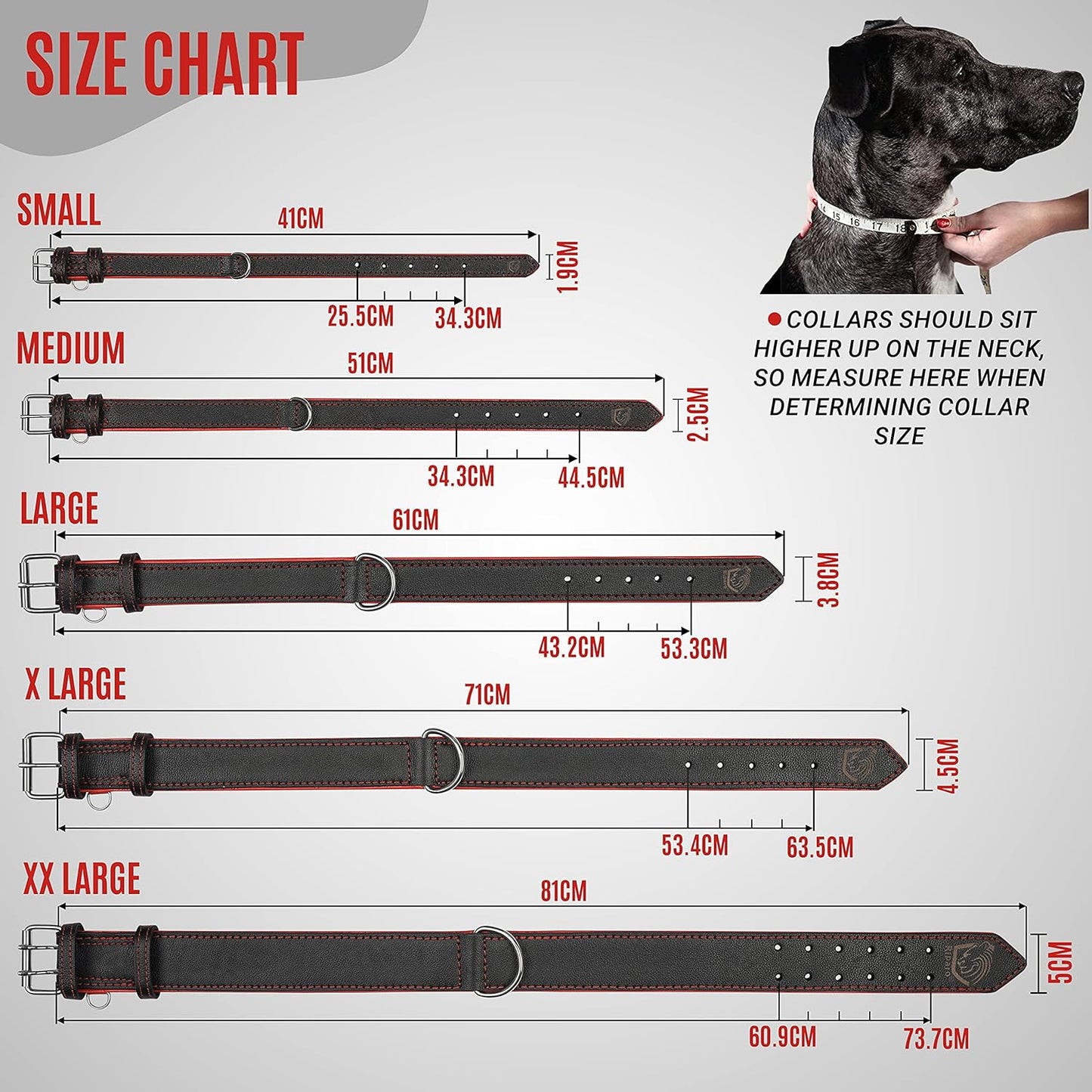 Riparo Genuine Leather Dog Collar for Medium Dogs - 1" Wide, Fits 13.5”-17.5” Neck, Black with Red Thread