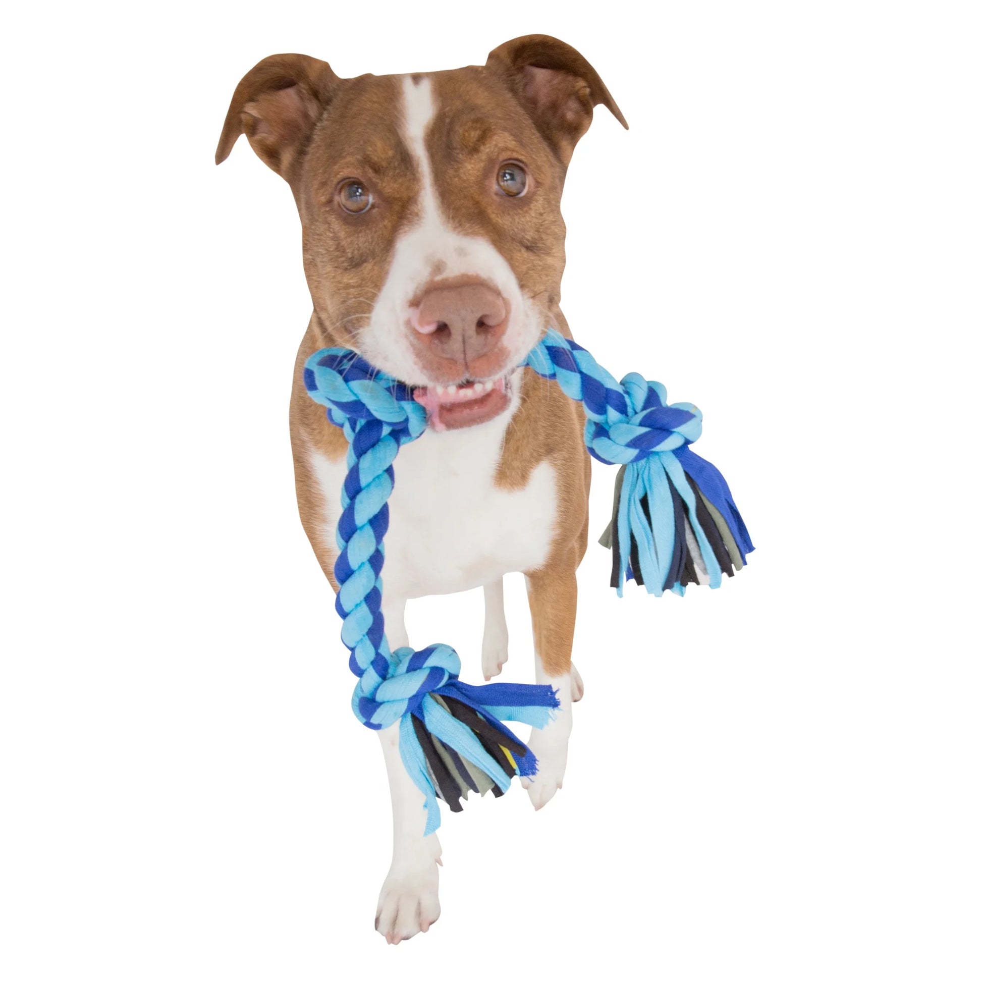 Flossy Chews Large 27" 4-Knot Tug Rope Dog Toy in Assorted Colors