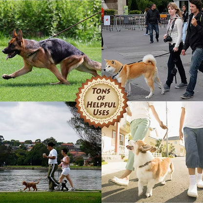 Premium Handmade Cowhide Leather Dog Leash for Large Breeds with Brass-Plated Hardware